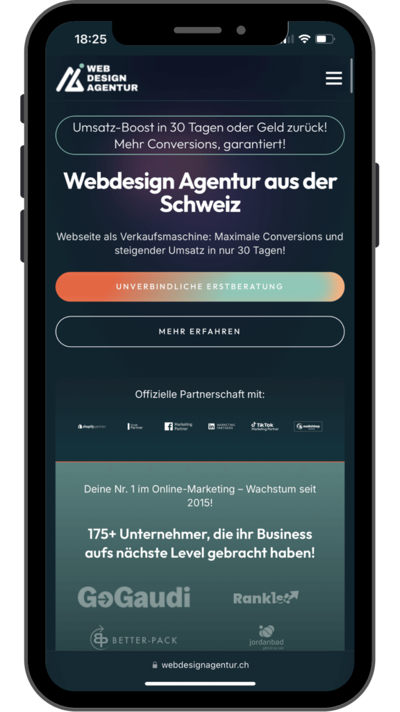 Webdesign Webentwicklung