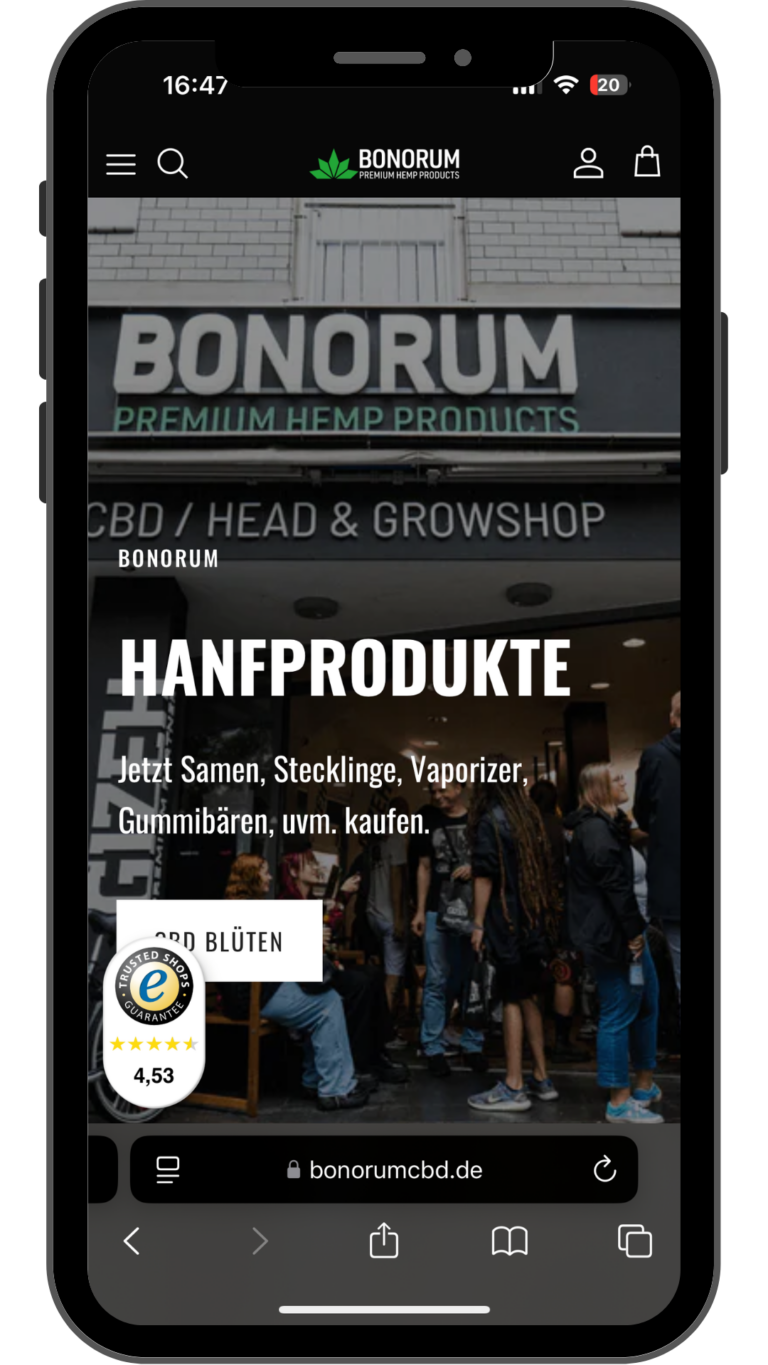 Bonorum_wordpress_elementor_webdevelopment_webdesignagentur_onlineshop_rankist